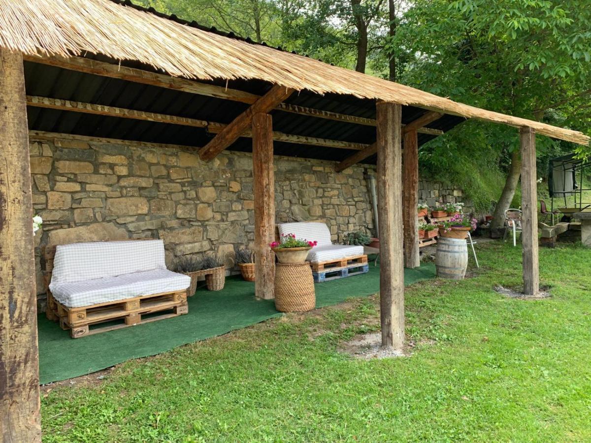 Appartamento Vina Olivan Sarvisé