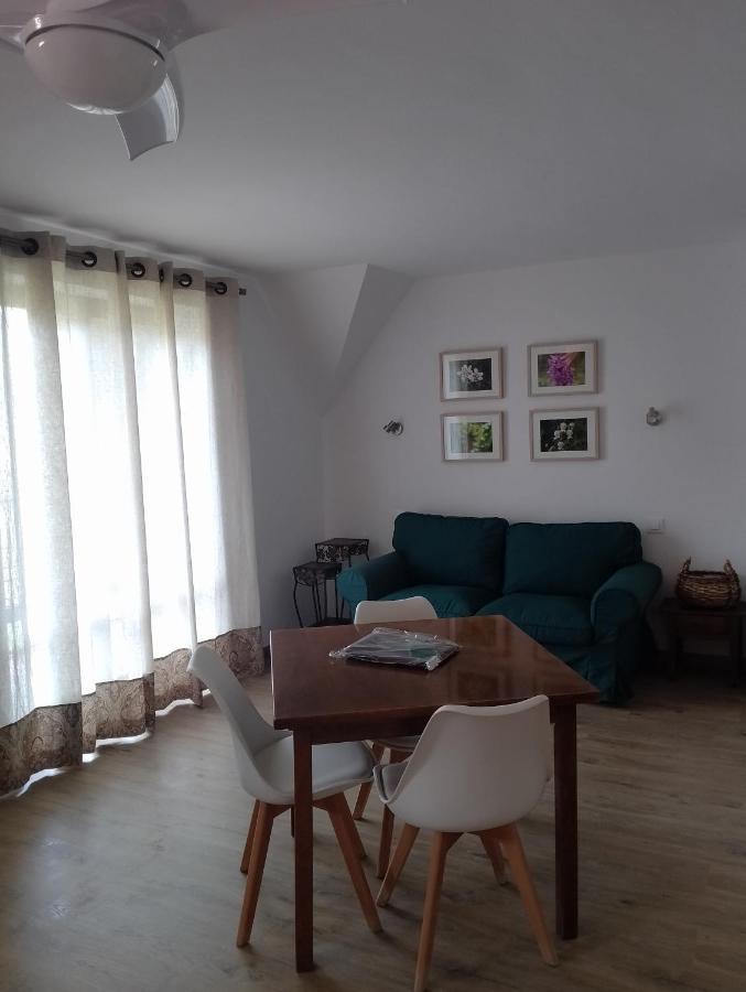 Appartamento Vina Olivan Sarvisé